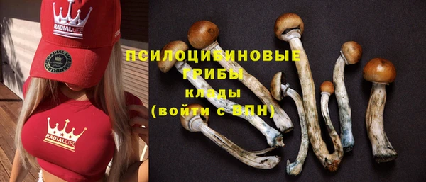 синтетический гашиш Алексеевка